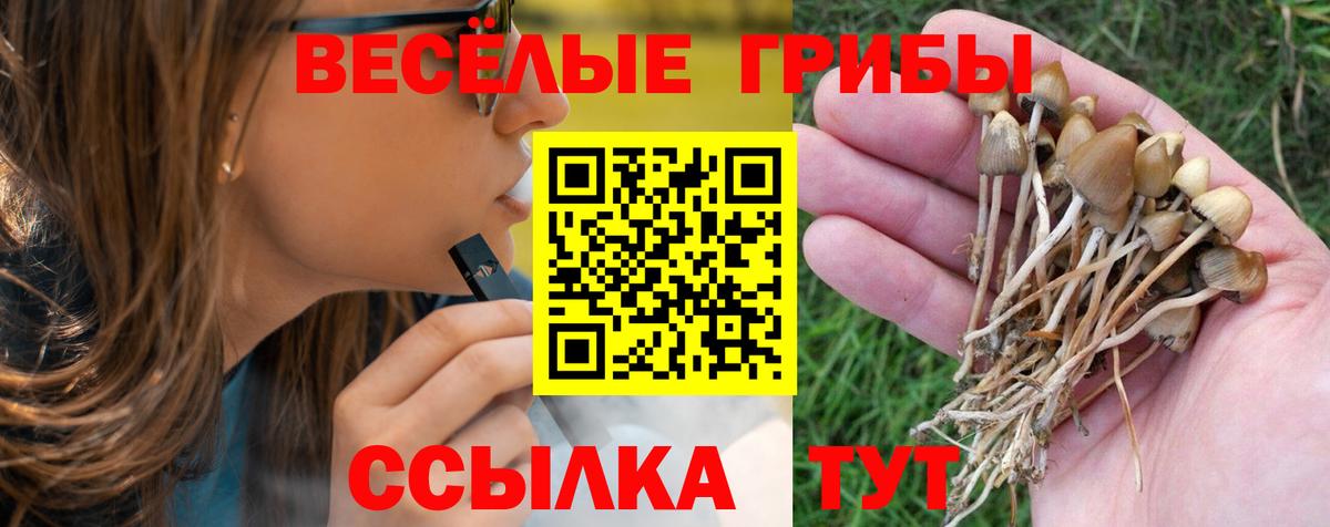 Галлюциногенные грибы Psilocybine cubensis  Вход с VPN  Архангельск 